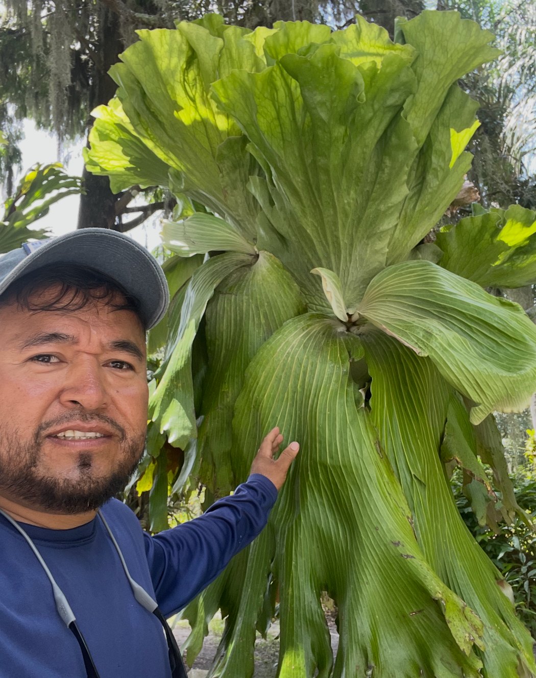 Bernardo Mocte beside a large staghorn fern